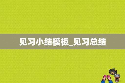 见习小结模板_见习总结