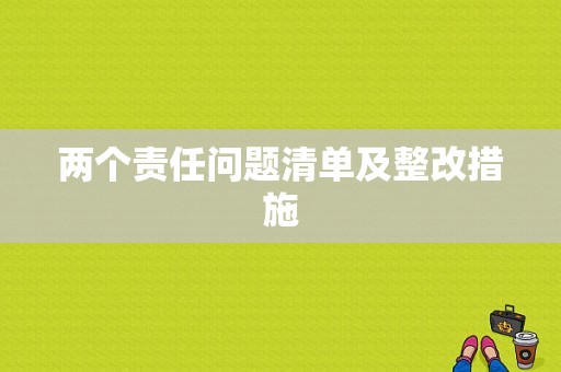 两个责任问题清单及整改措施