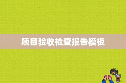 项目验收检查报告模板