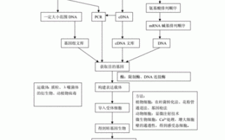 生物教学设计万能模板（生物教学设计流程图）