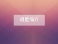 明星企划概念模板下载