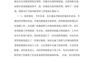 金融机构合规报告模板范文