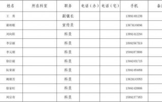 应急队伍表格模板_应急队伍名单模板