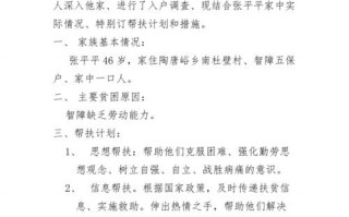 落实帮扶措施情况可以写什么