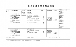 安全质量报表模板图片 安全质量报表模板