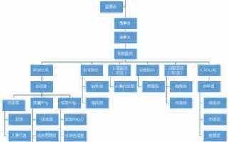 保健品公司组织结构图-保健品企业简介模板