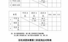 羽毛球赛制表模板_羽毛球赛制表模板怎么写