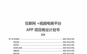 app服务平台商业计划书