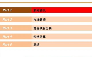 项目市场情况分析-项目市场分析报告模板