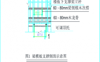  梁侧模模板示意图「梁侧模板固定支撑图片」