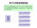 内控体系母子章节模板_内控体系包括