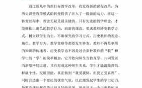 历史参与式教学的心得体会-历史个人参训计划模板