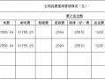 经费使用情况表格