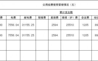 经费使用情况表格