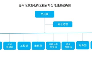 电梯组织机构模板（电梯组织机构模板图片）