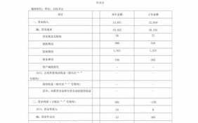 审计报告中利润表模板