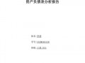 企业负债分析报告模板范文 企业负债分析报告模板