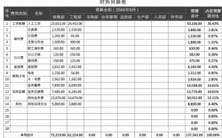 商业会计财务预算模板