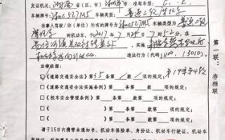 交通罚款的申请书模板_交通罚单申诉怎么写