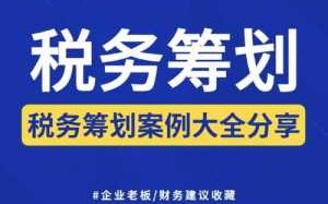 税务筹划模板_税务筹划的12种方法及案例