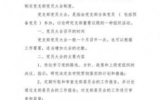 支部党员大会主要内容模板_支部党员大会主要内容模板范文