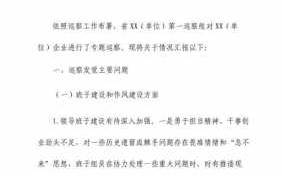  巡察报告模板「巡察报告汇报材料」