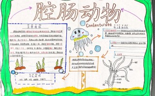 手抄报模板生物（生物手抄报内容 简单）