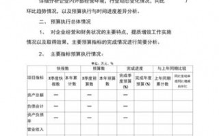 部队预算执行情况报告