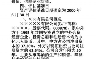 企业净资产报告模板下载