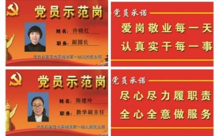 党员亮牌模板（党员亮牌模板图片）