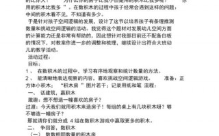  表象积木教案模板范文「表象积木总结」