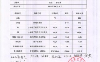 水质化验报告-水质化验单模板
