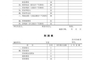  保安财务报表模板「保安财务报表模板下载」