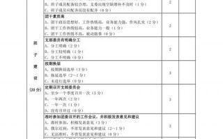 团支部工作考核表模板_团支部考核总结