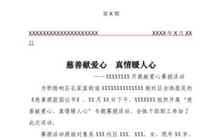 公益项目简报模板下载,公益项目简介怎么写范文 