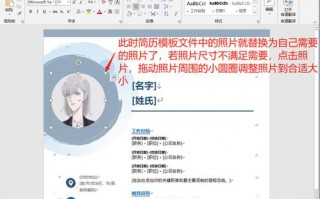 简历模板照片怎么调整,简历模板的个人照片怎么更换 