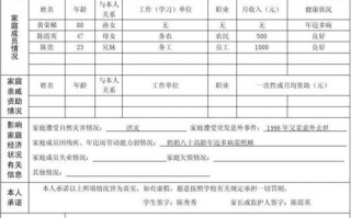 家庭经济信息采集模板,家庭经济信息描述 