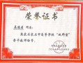 教师奖金牌子模板（教师奖项）