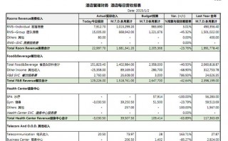 酒店财务分析报表模板范文