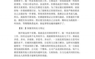 网络客服每周计划模板,网络客服周记20篇 