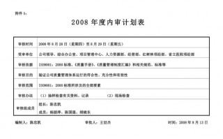 内部财务审计计划模板范文 内部财务审计计划模板