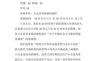  三下乡调研报告模板「三下乡调研报告调研概述」