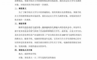 形势与政策调研模板,形势与政策调研主题 