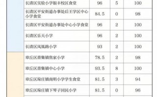 小学生成绩报告单模板doc格式怎么写