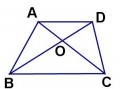  如图所示，四边形模板ABCD和EFGH「如图四边形abc d」