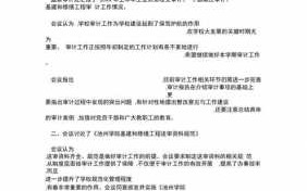 审计工作汇报会议会议纪要 现场审计会议纪要模板