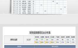 经费运行情况分析 经费分析报告模板