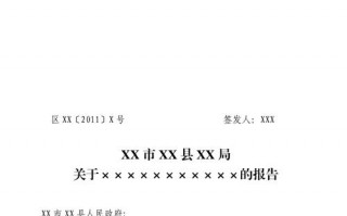 政府报告格式模板下载安装 政府报告格式模板下载