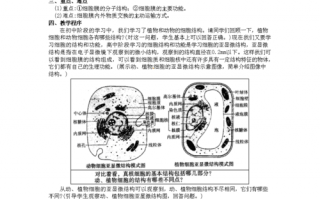 生物细胞膜学案模板