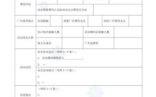 推广效果评估报告